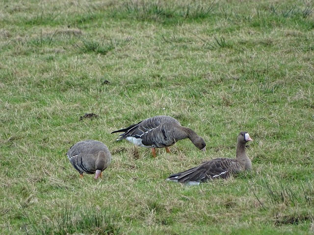 无论是在本 无论是在本
