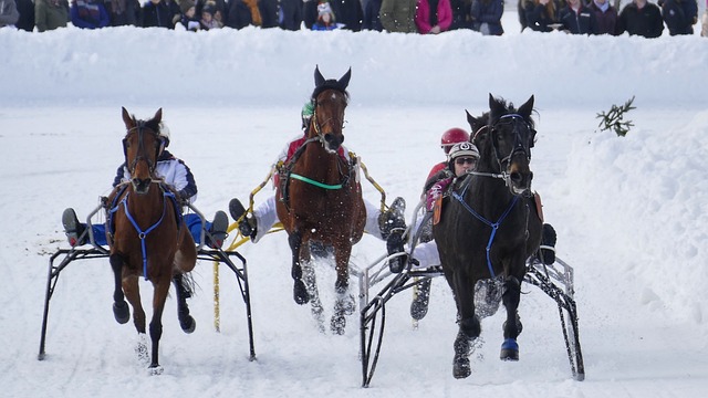 跨区域文旅 跨区域文旅