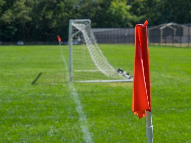 然而并不是 然而并不是